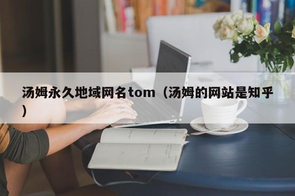 汤姆永久地域网名tom（汤姆的网站是知乎）