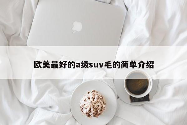 欧美最好的a级suv毛的简单介绍