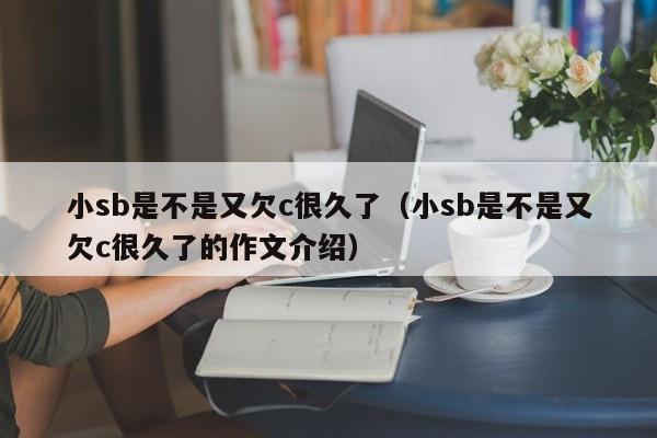 小sb是不是又欠c很久了（小sb是不是又欠c很久了的作文介绍）