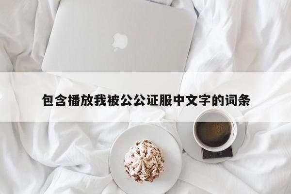 包含播放我被公公证服中文字的词条